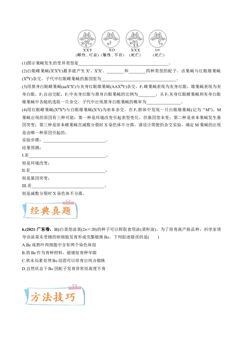 考向14基因突变及其他变异-备战2023年高考生物一轮复习考点微专题（全国通用）（原卷版）_通用版（老高考）复习资料_2023年复习资料_一轮复习