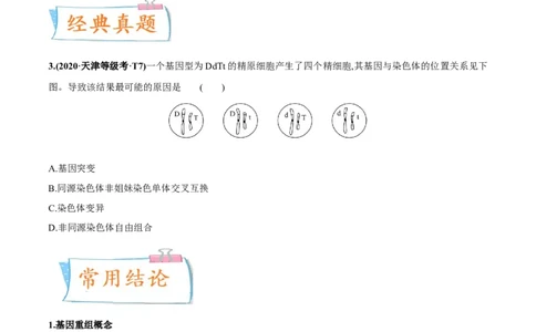 考向14基因突变及其他变异-备战2023年高考生物一轮复习考点微专题（全国通用）（原卷版）_通用版（老高考）复习资料_2023年复习资料_一轮复习
