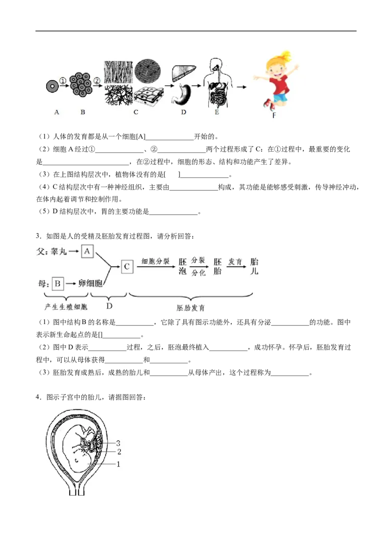 专题09人的由来-2022年中考生物一轮复习抓重点考典型（人教版）（原卷版）_6生物中考复习_2023年中考复习资料_一轮复习_2022年中考生物一轮复习抓重点考典型（人教版）