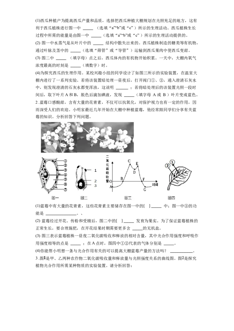 专题09绿色植物的光合作用（原卷版）_6生物中考复习_2024年中考复习资料_一轮复习资料_完精准复习课件精讲ppt+习题精练备战2024年中考生物一轮复习全考点通关_配套练习