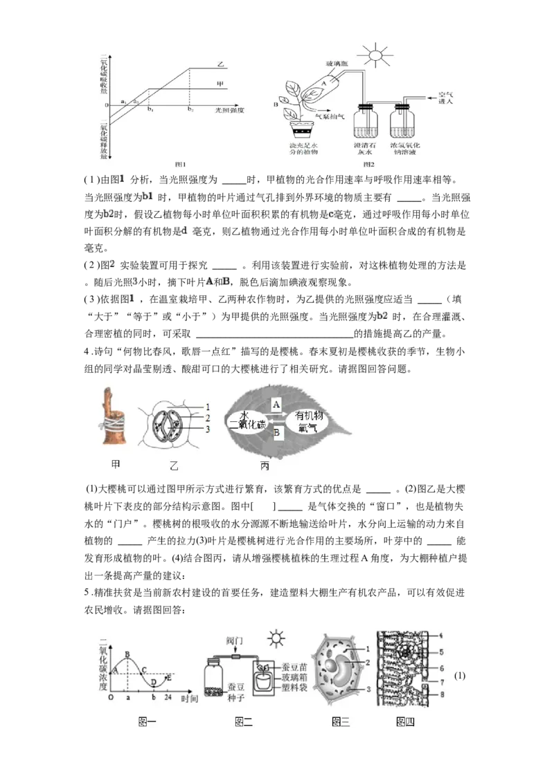 专题09绿色植物的光合作用（原卷版）_6生物中考复习_2024年中考复习资料_一轮复习资料_完精准复习课件精讲ppt+习题精练备战2024年中考生物一轮复习全考点通关_配套练习