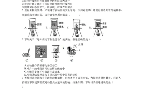专题09绿色植物的光合作用（原卷版）_6生物中考复习_2024年中考复习资料_一轮复习资料_完精准复习课件精讲ppt+习题精练备战2024年中考生物一轮复习全考点通关_配套练习