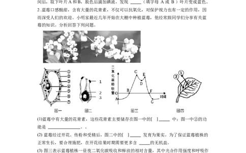 专题09绿色植物的光合作用（原卷版）_6生物中考复习_2024年中考复习资料_一轮复习资料_完精准复习课件精讲ppt+习题精练备战2024年中考生物一轮复习全考点通关_配套练习