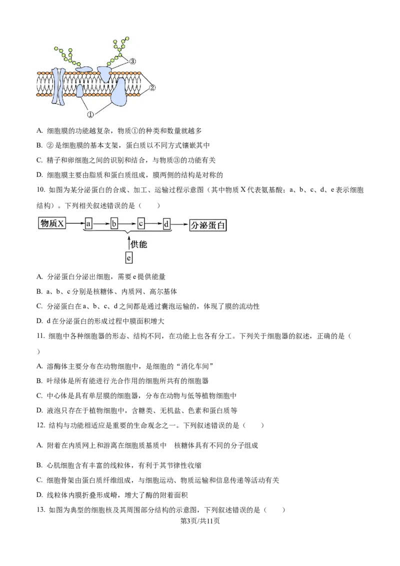 精品解析：黑龙江省大庆市让胡路区大庆市大庆中学2025-2026学年高一上学期1月期末生物试题（原卷版）_2026年01月高一试卷