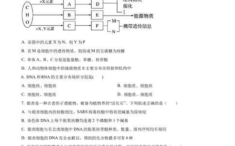 精品解析：黑龙江省大庆市让胡路区大庆市大庆中学2025-2026学年高一上学期1月期末生物试题（原卷版）_2026年01月高一试卷