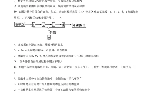 精品解析：黑龙江省大庆市让胡路区大庆市大庆中学2025-2026学年高一上学期1月期末生物试题（原卷版）_2026年01月高一试卷