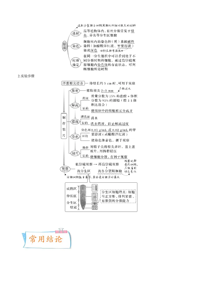 考向07细胞的生命历程-备战2023年高考生物一轮复习考点微专题（全国通用）（解析版）_通用版（老高考）复习资料_2023年复习资料_一轮复习