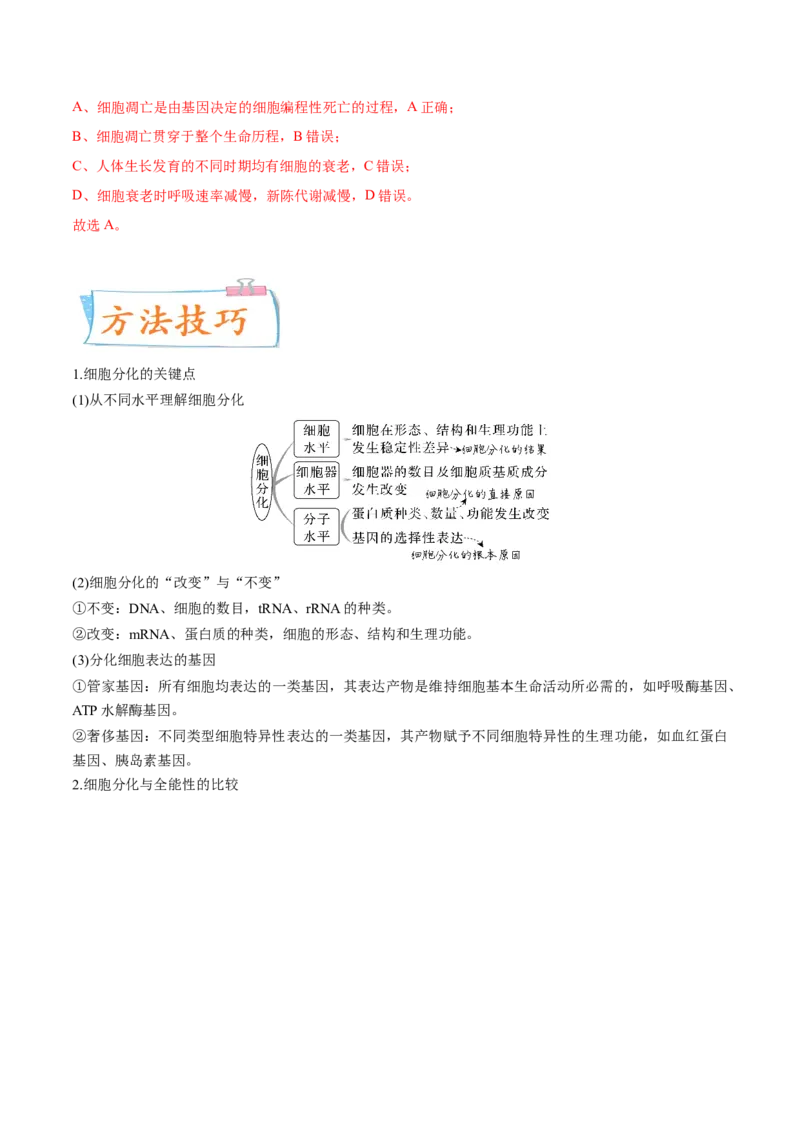 考向07细胞的生命历程-备战2023年高考生物一轮复习考点微专题（全国通用）（解析版）_通用版（老高考）复习资料_2023年复习资料_一轮复习