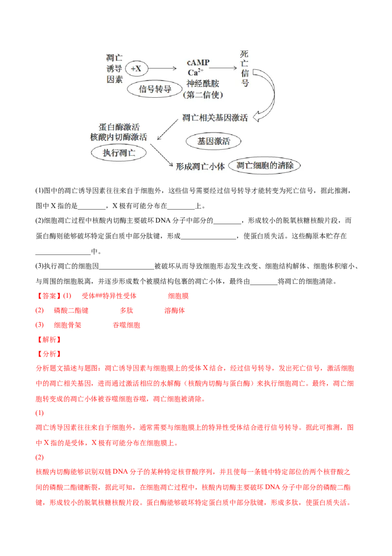 考向07细胞的生命历程-备战2023年高考生物一轮复习考点微专题（全国通用）（解析版）_通用版（老高考）复习资料_2023年复习资料_一轮复习