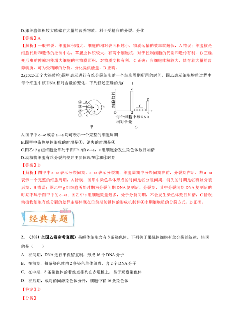 考向07细胞的生命历程-备战2023年高考生物一轮复习考点微专题（全国通用）（解析版）_通用版（老高考）复习资料_2023年复习资料_一轮复习