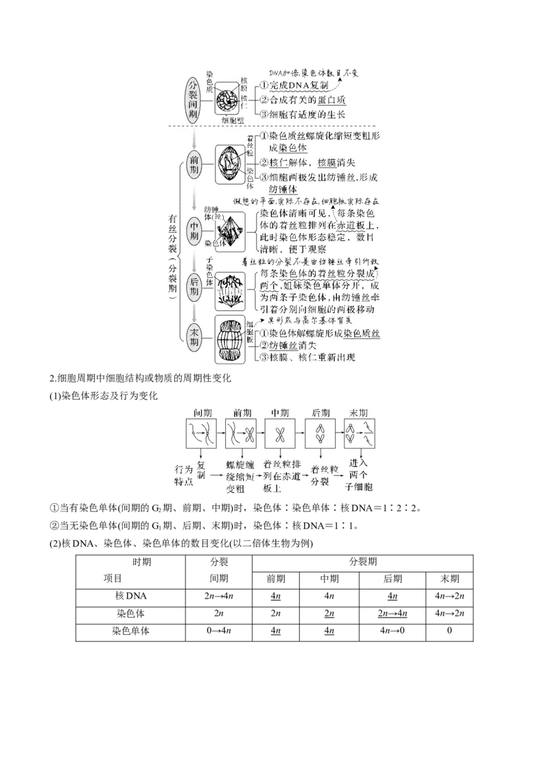 考向07细胞的生命历程-备战2023年高考生物一轮复习考点微专题（全国通用）（解析版）_通用版（老高考）复习资料_2023年复习资料_一轮复习