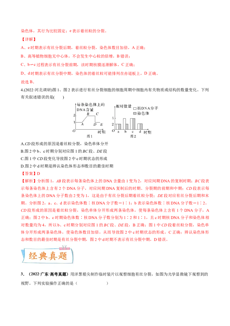 考向07细胞的生命历程-备战2023年高考生物一轮复习考点微专题（全国通用）（解析版）_通用版（老高考）复习资料_2023年复习资料_一轮复习