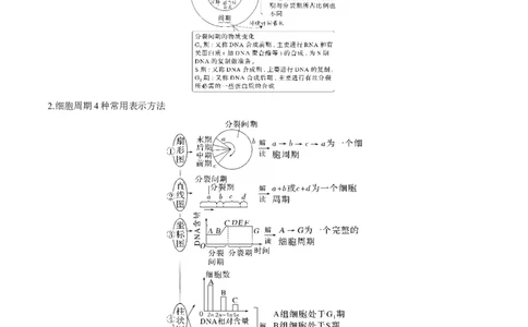 考向07细胞的生命历程-备战2023年高考生物一轮复习考点微专题（全国通用）（解析版）_通用版（老高考）复习资料_2023年复习资料_一轮复习