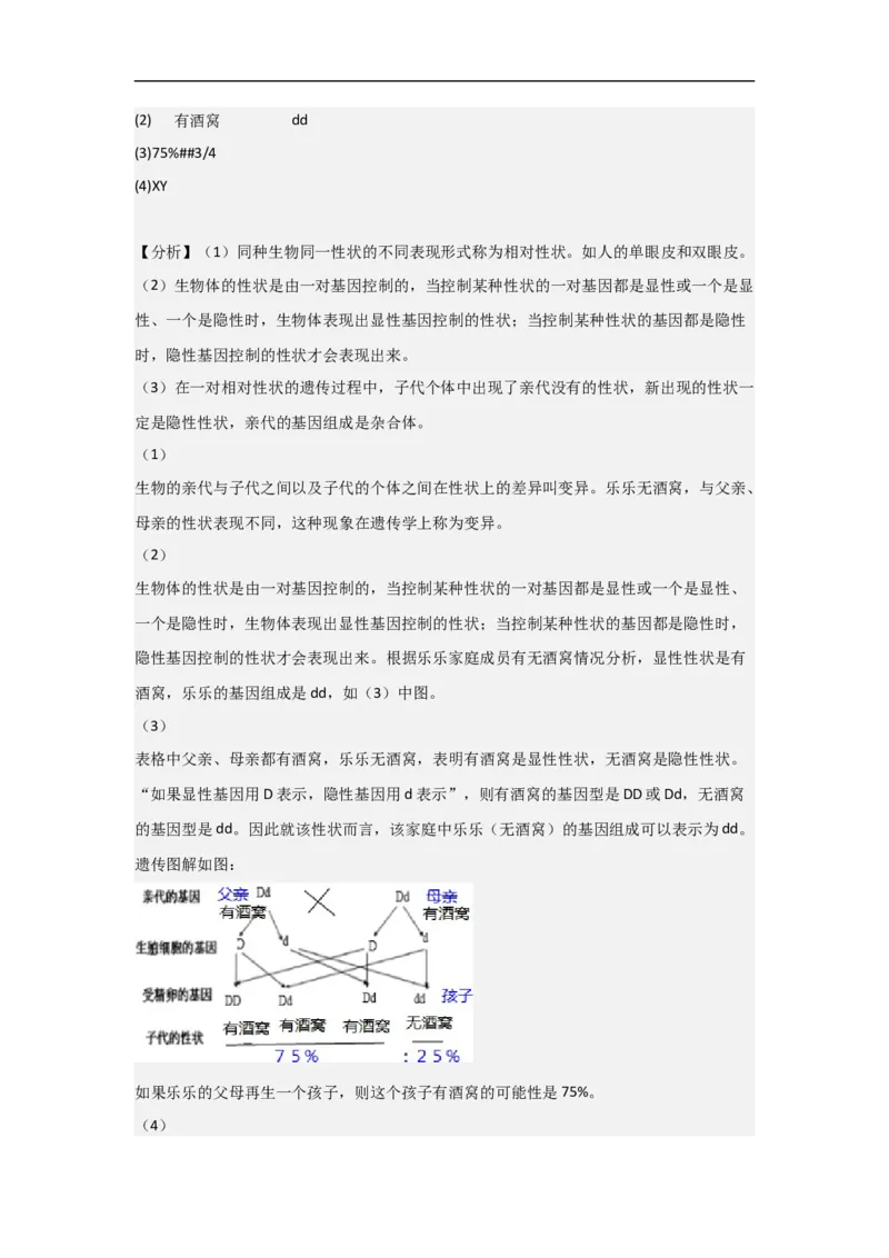 专题17生物的遗传和变异-备战2023年中考生物核心考点梳理与必背_6生物中考复习_2023年中考复习资料_专项复习_备战2023年中考生物核心考点梳理与必背