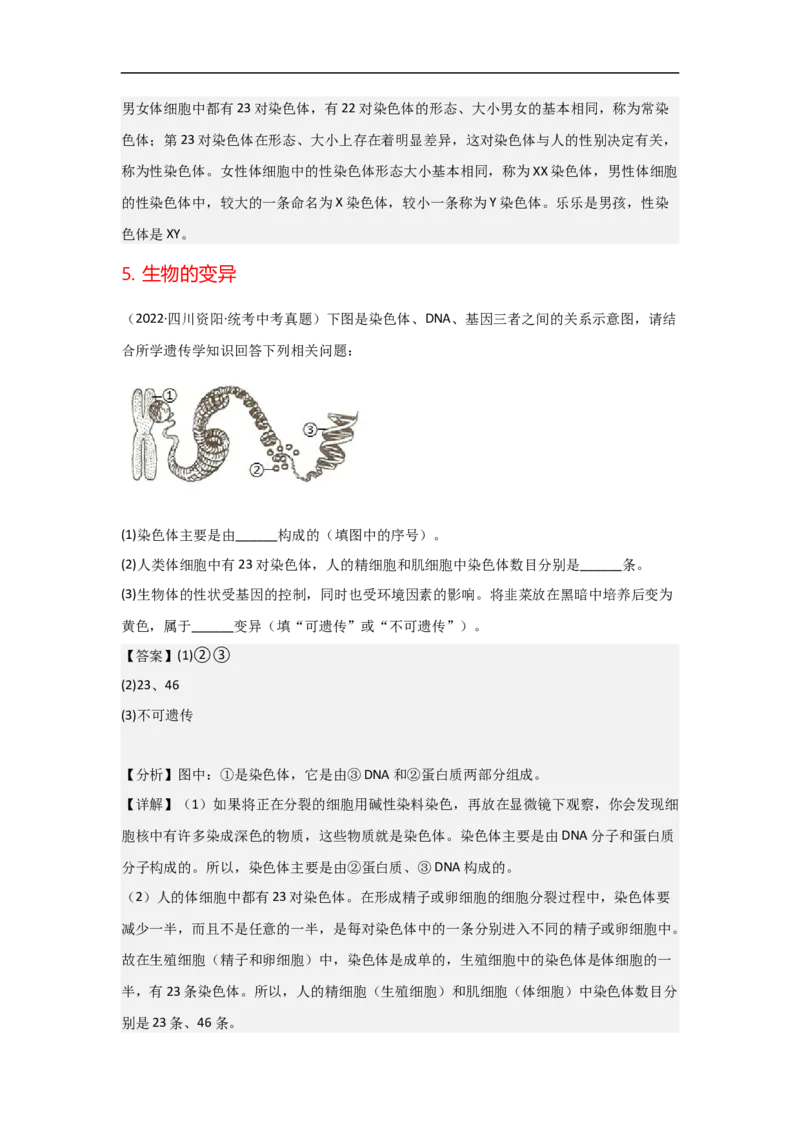 专题17生物的遗传和变异-备战2023年中考生物核心考点梳理与必背_6生物中考复习_2023年中考复习资料_专项复习_备战2023年中考生物核心考点梳理与必背