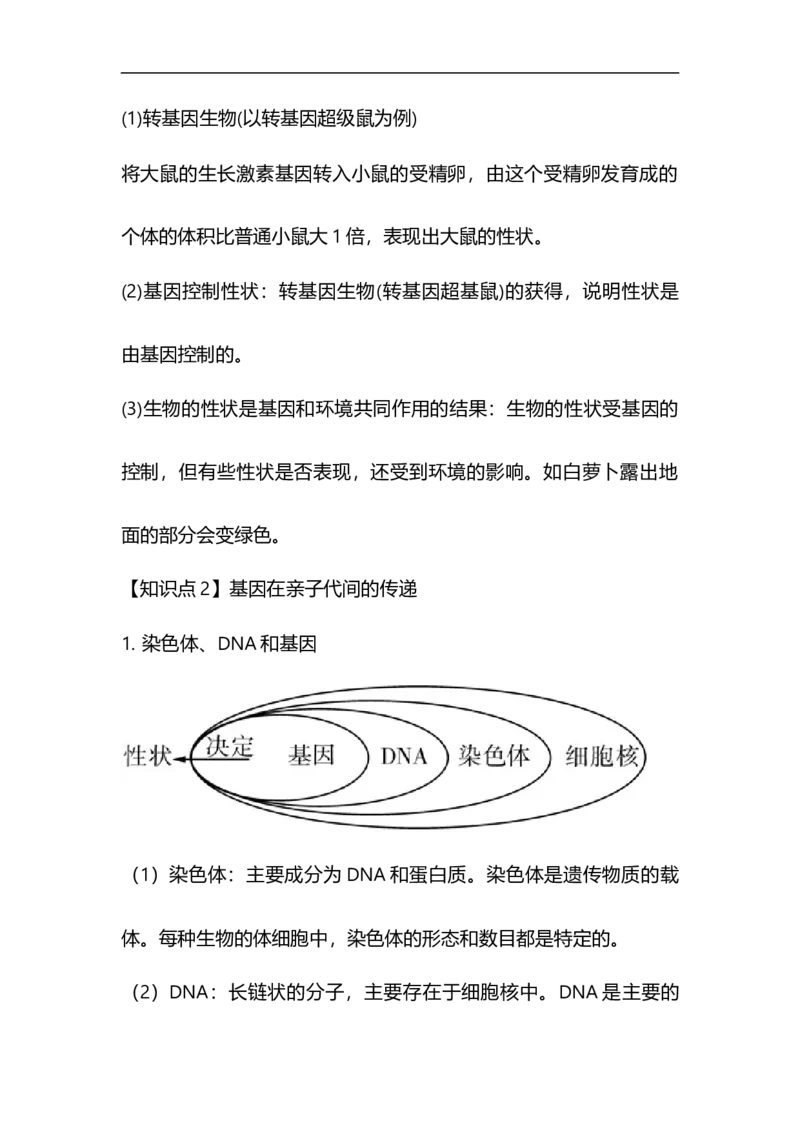专题17生物的遗传和变异-备战2023年中考生物核心考点梳理与必背_6生物中考复习_2023年中考复习资料_专项复习_备战2023年中考生物核心考点梳理与必背