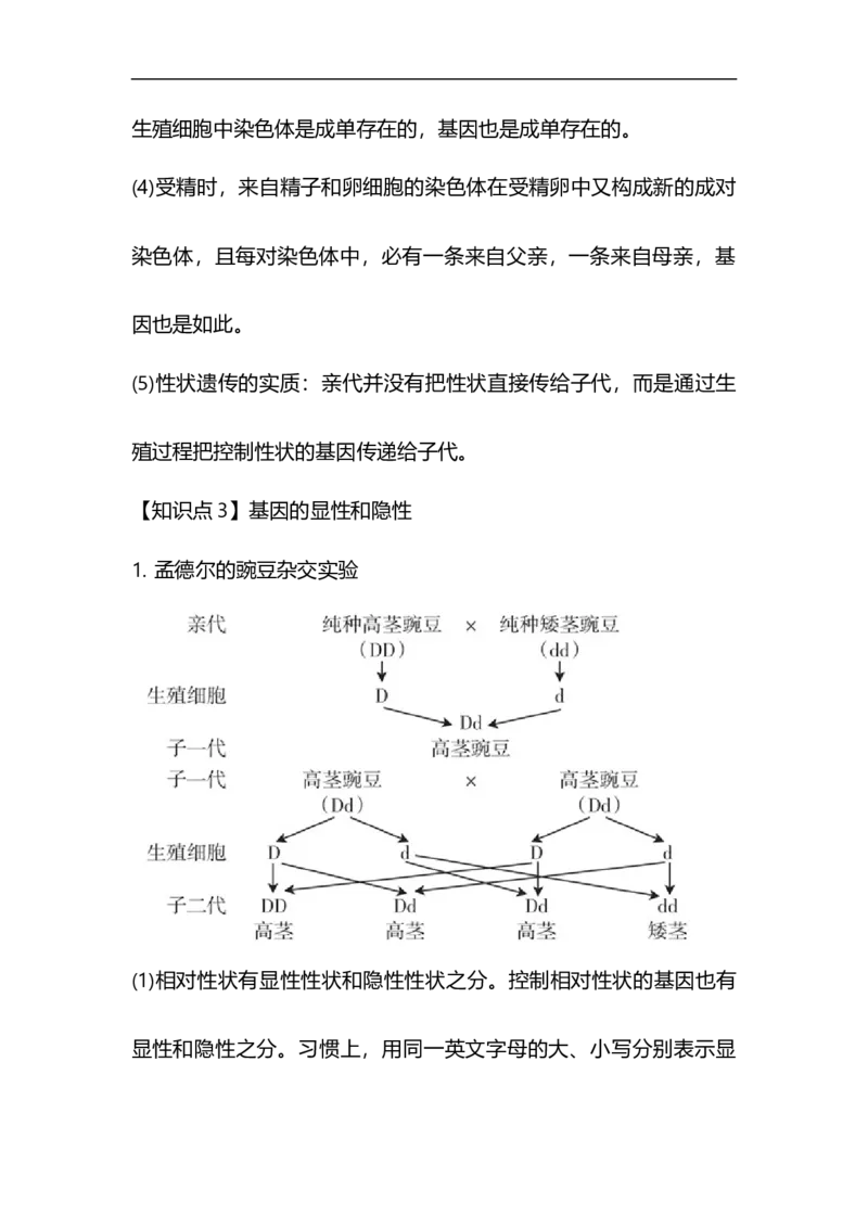 专题17生物的遗传和变异-备战2023年中考生物核心考点梳理与必背_6生物中考复习_2023年中考复习资料_专项复习_备战2023年中考生物核心考点梳理与必背