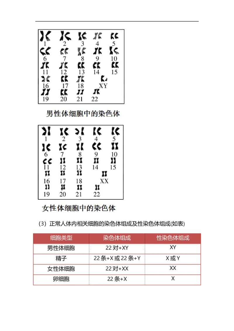 专题17生物的遗传和变异-备战2023年中考生物核心考点梳理与必背_6生物中考复习_2023年中考复习资料_专项复习_备战2023年中考生物核心考点梳理与必背
