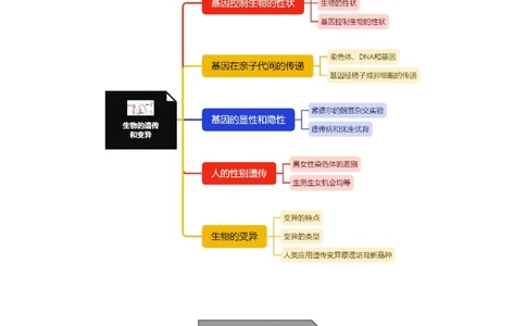 专题17生物的遗传和变异-备战2023年中考生物核心考点梳理与必背_6生物中考复习_2023年中考复习资料_专项复习_备战2023年中考生物核心考点梳理与必背