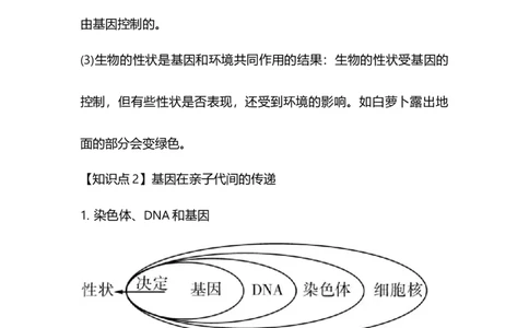 专题17生物的遗传和变异-备战2023年中考生物核心考点梳理与必背_6生物中考复习_2023年中考复习资料_专项复习_备战2023年中考生物核心考点梳理与必背