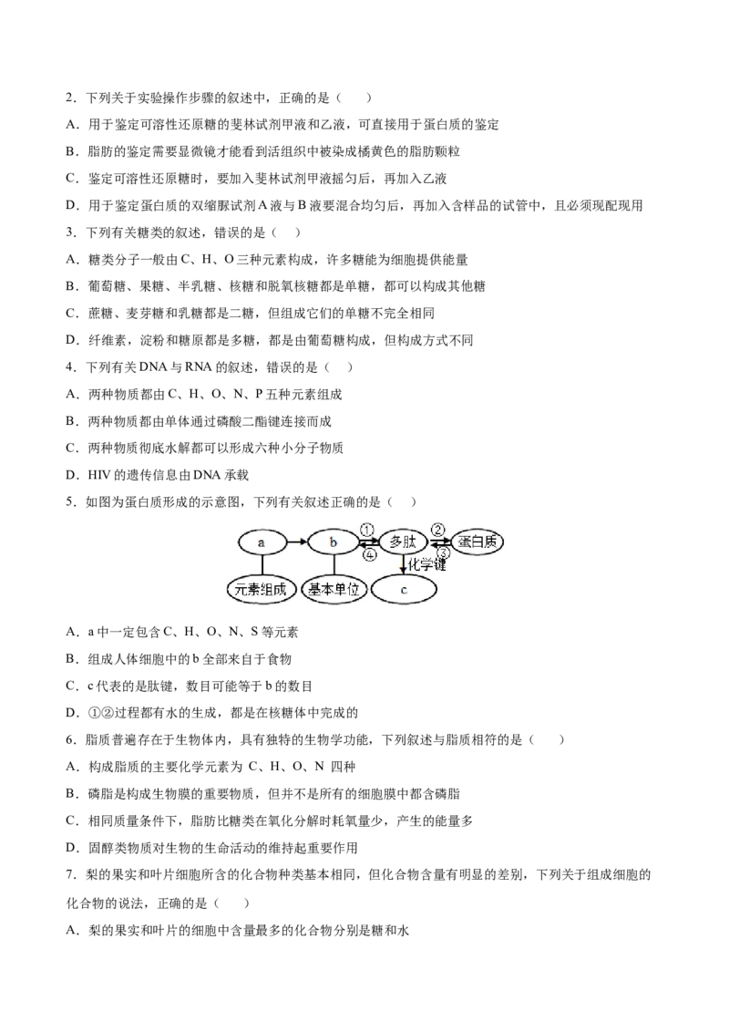 考向01组成细胞的分子-备战2023年高考生物一轮复习考点微专题（全国通用）（原卷版）(1)_通用版（老高考）复习资料_2023年复习资料_一轮复习