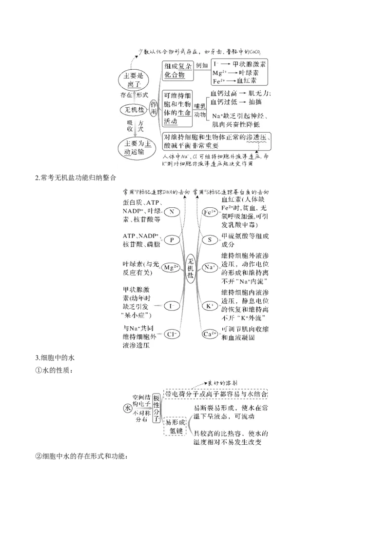 考向01组成细胞的分子-备战2023年高考生物一轮复习考点微专题（全国通用）（原卷版）(1)_通用版（老高考）复习资料_2023年复习资料_一轮复习