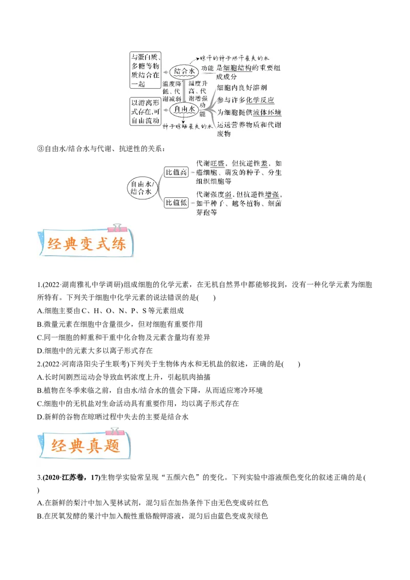 考向01组成细胞的分子-备战2023年高考生物一轮复习考点微专题（全国通用）（原卷版）(1)_通用版（老高考）复习资料_2023年复习资料_一轮复习