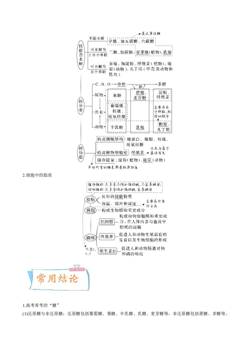 考向01组成细胞的分子-备战2023年高考生物一轮复习考点微专题（全国通用）（原卷版）(1)_通用版（老高考）复习资料_2023年复习资料_一轮复习