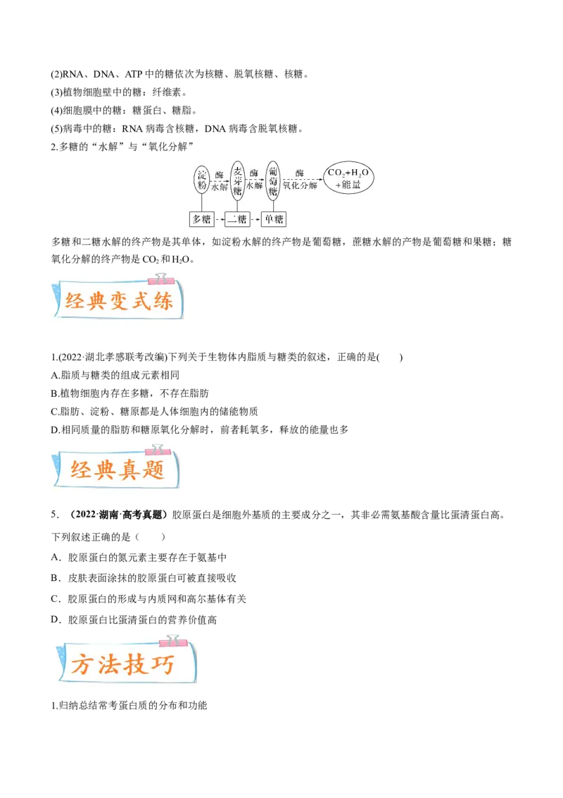 考向01组成细胞的分子-备战2023年高考生物一轮复习考点微专题（全国通用）（原卷版）(1)_通用版（老高考）复习资料_2023年复习资料_一轮复习