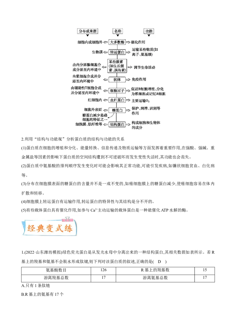 考向01组成细胞的分子-备战2023年高考生物一轮复习考点微专题（全国通用）（原卷版）(1)_通用版（老高考）复习资料_2023年复习资料_一轮复习