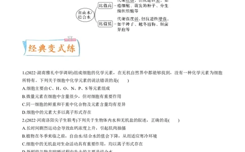 考向01组成细胞的分子-备战2023年高考生物一轮复习考点微专题（全国通用）（原卷版）(1)_通用版（老高考）复习资料_2023年复习资料_一轮复习
