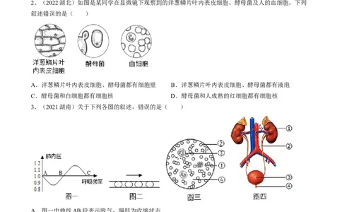 专题12人体内物质的运输（原卷版）_6生物中考复习_2023年中考复习资料_一轮复习_2023年中考生物一轮复习讲练测_专题12+人体内物质的运输（专题精练）-2023年中考生物一轮复习讲练测
