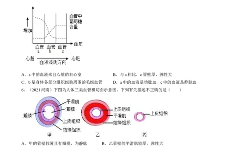 专题12人体内物质的运输（原卷版）_6生物中考复习_2023年中考复习资料_一轮复习_2023年中考生物一轮复习讲练测_专题12+人体内物质的运输（专题精练）-2023年中考生物一轮复习讲练测