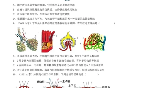 专题12人体内物质的运输（原卷版）_6生物中考复习_2023年中考复习资料_一轮复习_2023年中考生物一轮复习讲练测_专题12+人体内物质的运输（专题精练）-2023年中考生物一轮复习讲练测