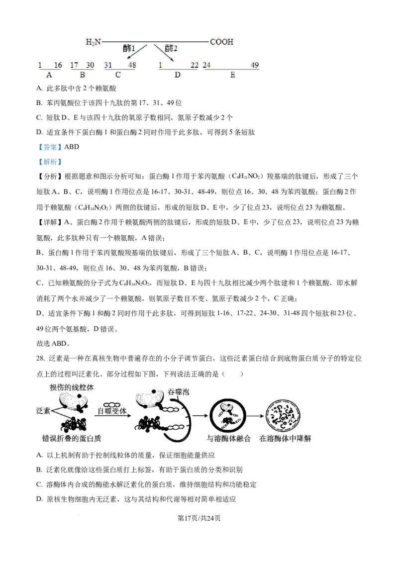 精品解析：黑龙江省大庆市让胡路区大庆市大庆中学2025-2026学年高一上学期1月期末生物试题（解析版）_2026年01月高一试卷