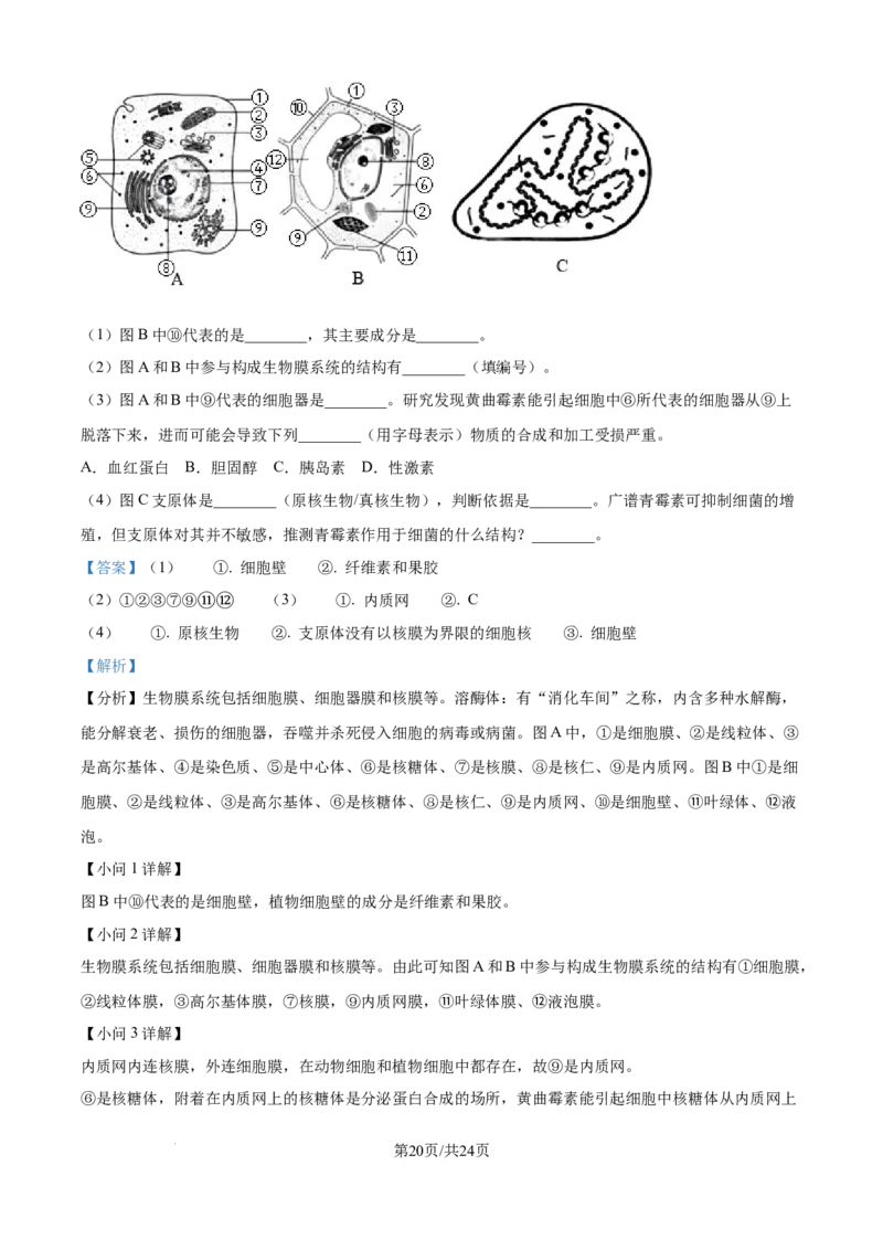 精品解析：黑龙江省大庆市让胡路区大庆市大庆中学2025-2026学年高一上学期1月期末生物试题（解析版）_2026年01月高一试卷