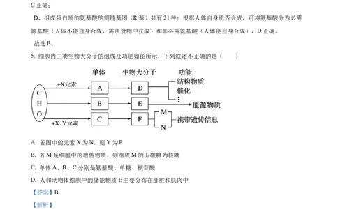 精品解析：黑龙江省大庆市让胡路区大庆市大庆中学2025-2026学年高一上学期1月期末生物试题（解析版）_2026年01月高一试卷