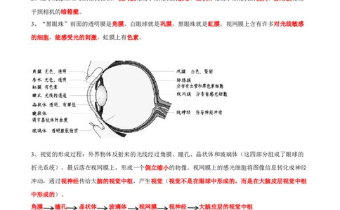 专题14人体生命活动的调节-2022年中考生物一轮复习抓重点考典型（人教版）（原卷版）_6生物中考复习_2023年中考复习资料_一轮复习_2022年中考生物一轮复习抓重点考典型（人教版）