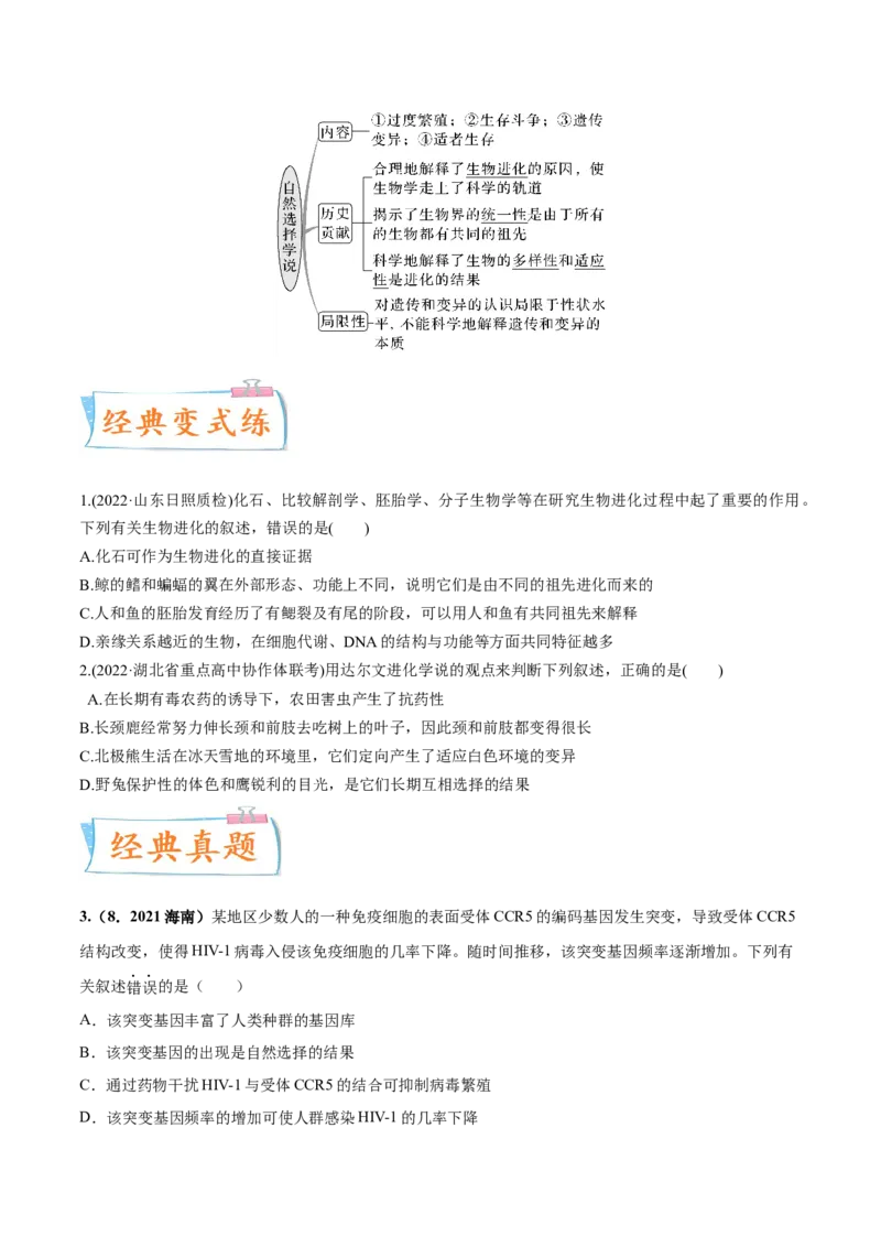 考向15生物的进化-备战2023年高考生物一轮复习考点微专题（全国通用）（原卷版）(1)_通用版（老高考）复习资料_2023年复习资料_一轮复习