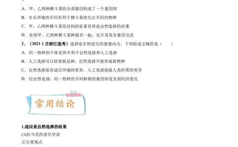 考向15生物的进化-备战2023年高考生物一轮复习考点微专题（全国通用）（原卷版）(1)_通用版（老高考）复习资料_2023年复习资料_一轮复习