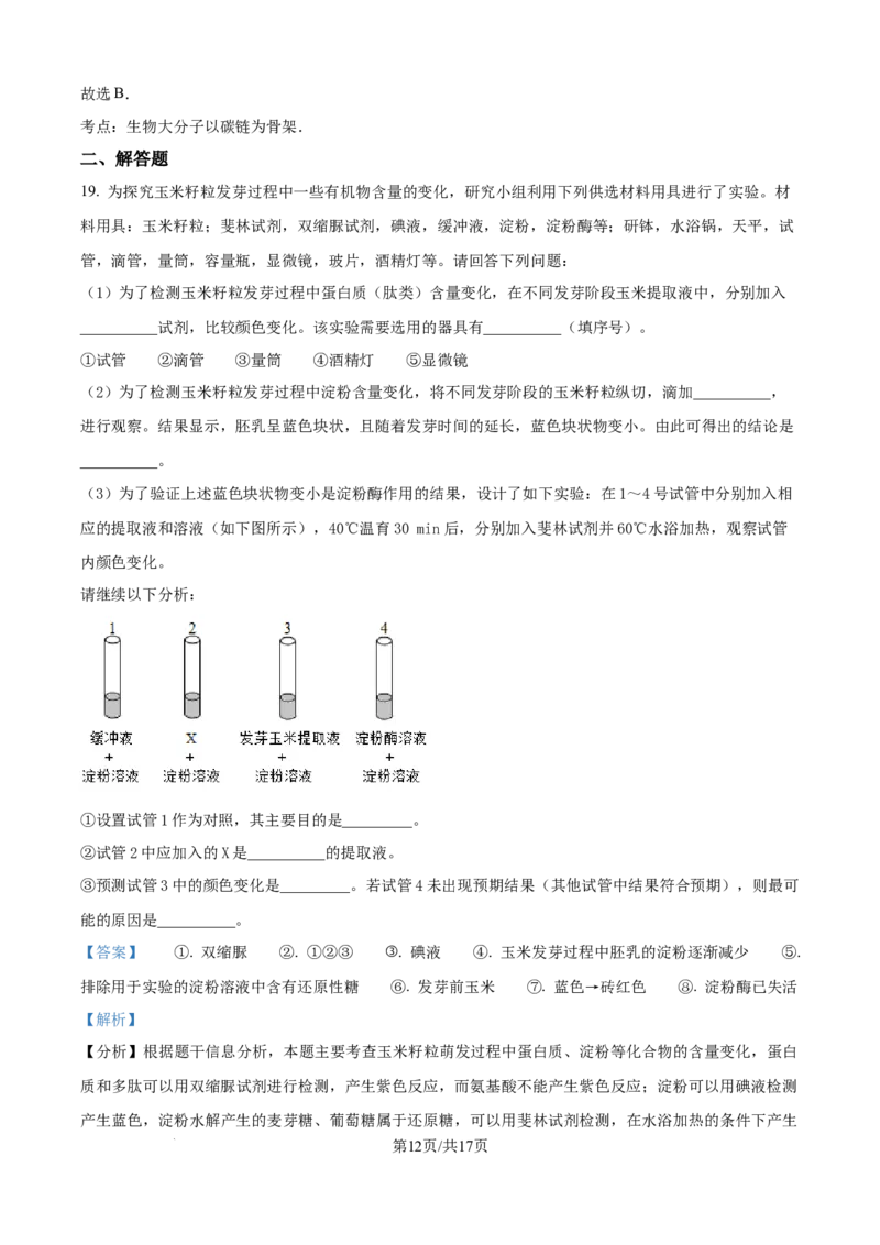 精品解析：湖北省荆州市沙市区湖北省沙市中学2025-2026学年高一上学期9月月考生物试题（解析版）_2025年10月高一试卷_251003湖北省荆州市沙市中学2025-2026学年高一上学期9月月考（全）