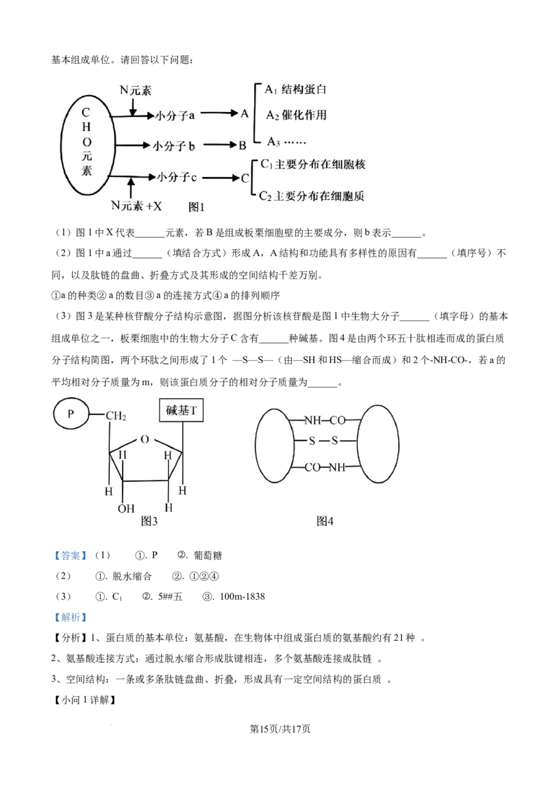 精品解析：湖北省荆州市沙市区湖北省沙市中学2025-2026学年高一上学期9月月考生物试题（解析版）_2025年10月高一试卷_251003湖北省荆州市沙市中学2025-2026学年高一上学期9月月考（全）