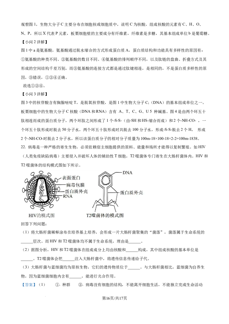 精品解析：湖北省荆州市沙市区湖北省沙市中学2025-2026学年高一上学期9月月考生物试题（解析版）_2025年10月高一试卷_251003湖北省荆州市沙市中学2025-2026学年高一上学期9月月考（全）
