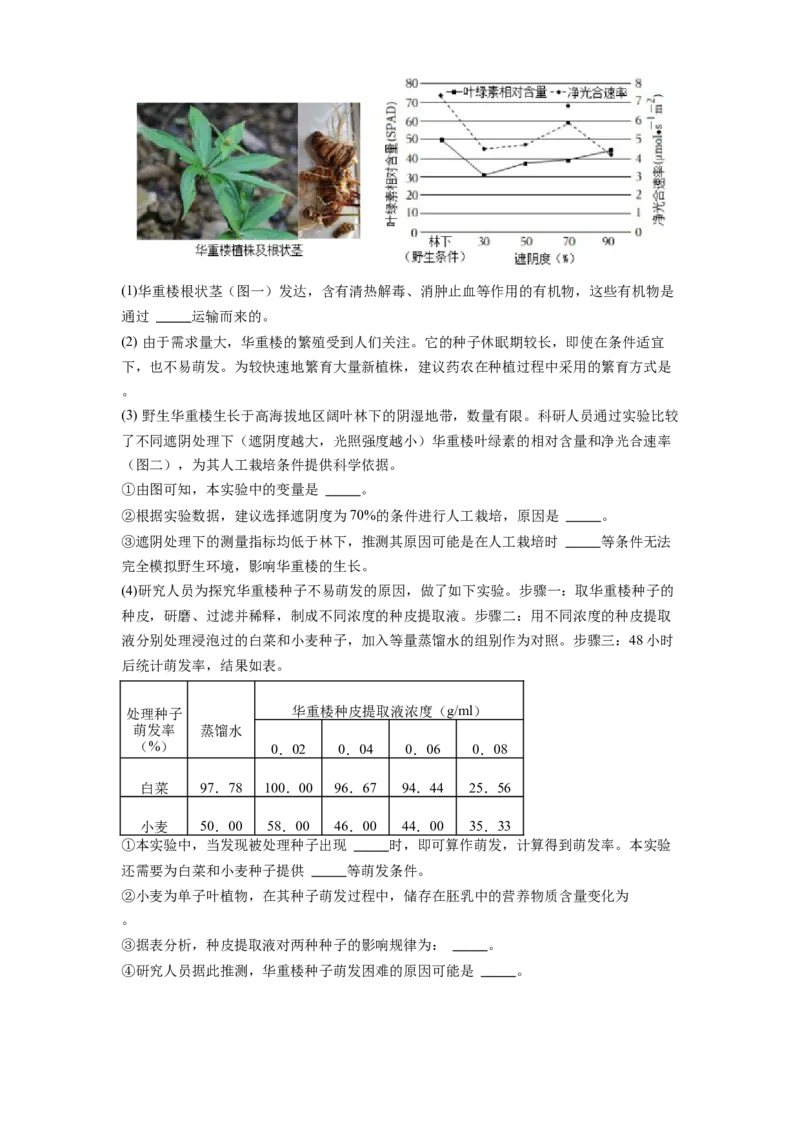 专题10绿色植物的呼吸作用和光合作用（原卷版）_6生物中考复习_2024年中考复习资料_一轮复习资料_完精准复习课件精讲ppt+习题精练备战2024年中考生物一轮复习全考点通关