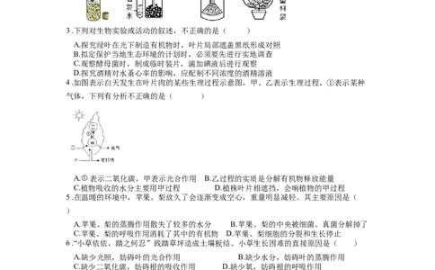 专题10绿色植物的呼吸作用和光合作用（原卷版）_6生物中考复习_2024年中考复习资料_一轮复习资料_完精准复习课件精讲ppt+习题精练备战2024年中考生物一轮复习全考点通关