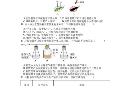 专题10绿色植物的呼吸作用和光合作用（原卷版）_6生物中考复习_2024年中考复习资料_一轮复习资料_完精准复习课件精讲ppt+习题精练备战2024年中考生物一轮复习全考点通关