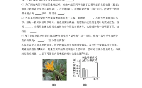 专题10绿色植物的呼吸作用和光合作用（原卷版）_6生物中考复习_2024年中考复习资料_一轮复习资料_完精准复习课件精讲ppt+习题精练备战2024年中考生物一轮复习全考点通关