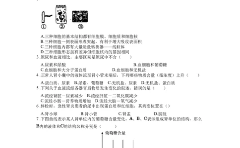 专题16人体内废物的排出（原卷版）_6生物中考复习_2024年中考复习资料_一轮复习资料_完精准复习课件精讲ppt+习题精练备战2024年中考生物一轮复习全考点通关_配套练习
