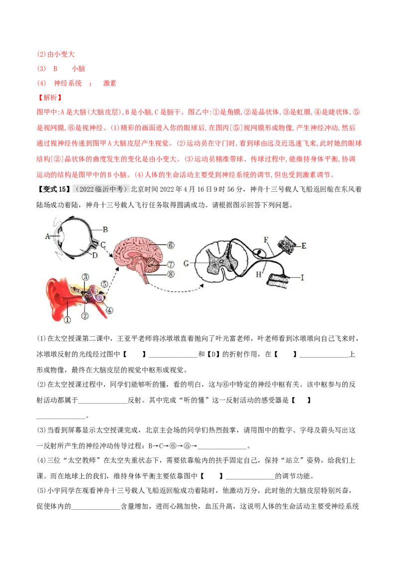 专题15人体生命活动的调节（解析版）_6生物中考复习_2023年中考复习资料_专项复习_2023年中考生物总复习真题探究与变式训练（全国通用）