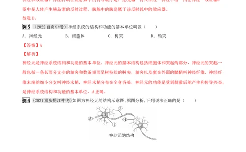 专题15人体生命活动的调节（解析版）_6生物中考复习_2023年中考复习资料_专项复习_2023年中考生物总复习真题探究与变式训练（全国通用）